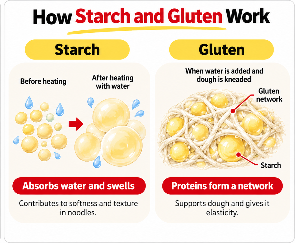Starch_and_Gluten_English
