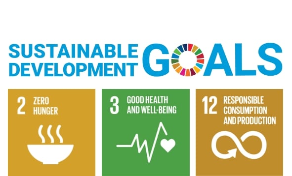 Sustainable Development Goals